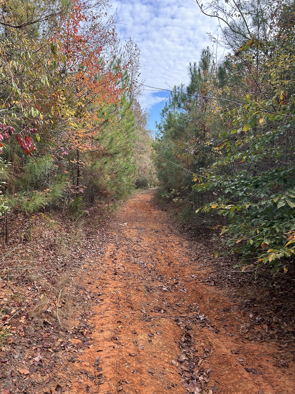Moccasin Creek Tract, property for sale in Alabama