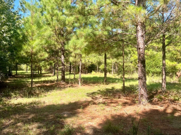 Davis Road Tract Property For Sale