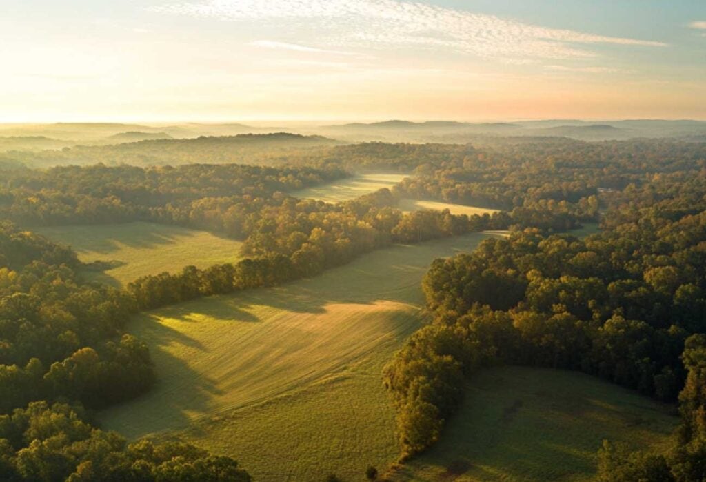Aerial Photo & Video