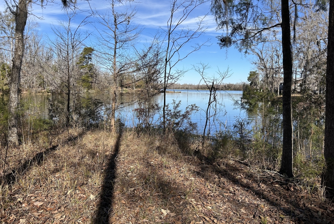 Alabama River Lots For Sale