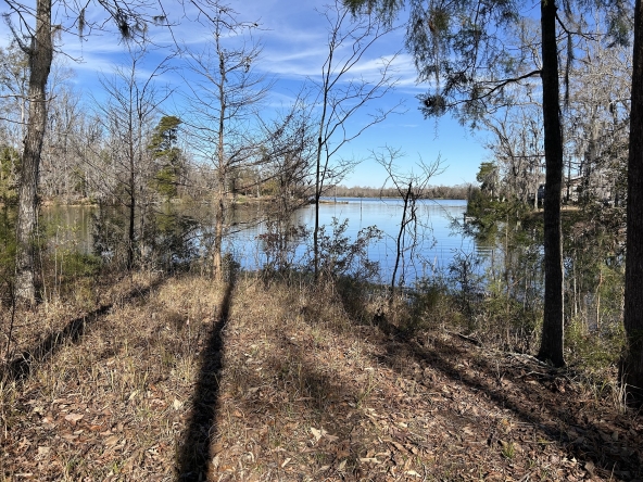 Alabama River Lots For Sale